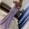 Trumpet/Mermaid Sleeveless Spaghetti Straps Sweep/Brush Train Lace Tulle Prom Dresses
