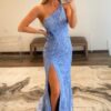 Sheath/Column One-Shoulder Sleeveless Sweep Train Tulle Prom Dresses with Appliqued Beading Split
