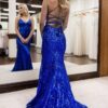 Trumpet/Mermaid V Neck Sleeveless Sweep Train Allover Sparkly Sequined Lace Prom Dress