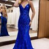 Trumpet/Mermaid V Neck Sleeveless Sweep Train Allover Sparkly Sequined Lace Prom Dress