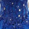 A-Line/Princess Tulle Off-the-Shoulder Sleeveless Applique Floor-Length Prom Dress