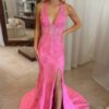 Trumpet/Mermaid V-Neck Tulle Lace Sleeveless Long Prom Dress-897