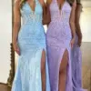 Trumpet/Mermaid V-Neck Tulle Lace Sleeveless Long Prom Dress-0