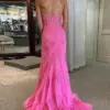 Trumpet/Mermaid V-Neck Tulle Lace Sleeveless Long Prom Dress-899