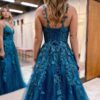 A-Line/Princess Sleeveless V-neck Long Applique Tulle Prom Dresses