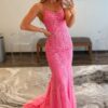 Sheath/Column Tulle Applique Prom Dresses Spaghetti Straps Sleeveless Long Formal Evening Gowns