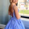 A-Line/Princess Tulle Halter Sleeveless Long Prom Dress Lavender Pocket Prom Gown-903