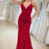 Sheath/Column V-neck Sleeveless Prom Dresses Long Lace Formal Evening Gowns