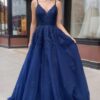 A-line/Princess V Neck Sleeveless Court Train Tulle Prom Dress With Appliqued-0